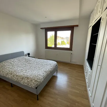 De 115m2 A 10 Min De Strasbourg & 25 Min D'europa Park ! イルキルシュ＝グラファンスタデン