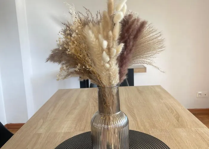 De 115m2 A 10 Min De Strasbourg & 25 Min D'europa Park ! Lejlighed Illkirch-Graffenstaden